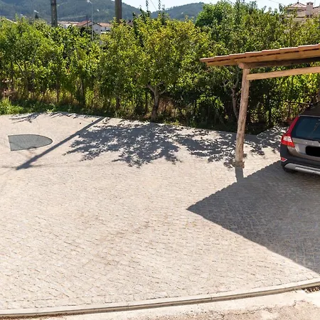 Casa Rosas - Roses House *