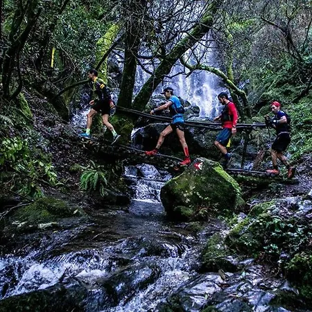 Casa Rosas - Roses House