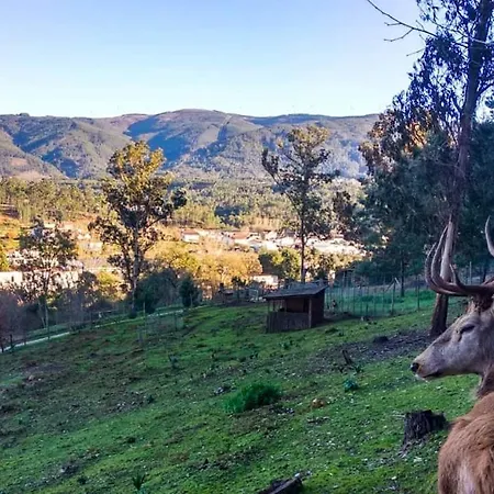 Casa Rosas - Roses House * 미란다 두 코르부