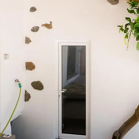 Casa Rosas - Roses House *