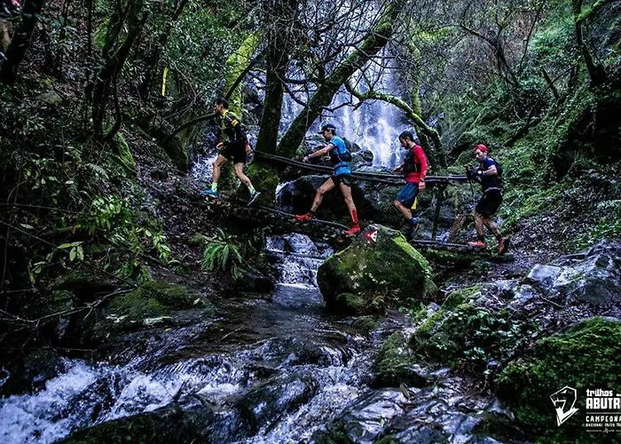 Casa Rosas - Roses House