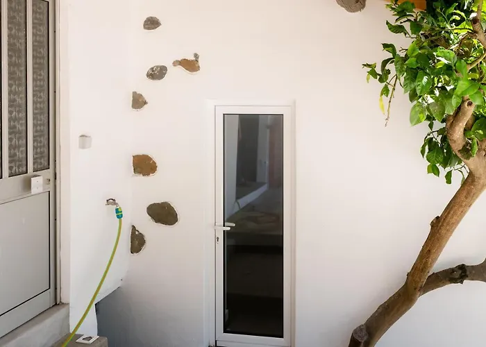 Casa Rosas - Roses House *